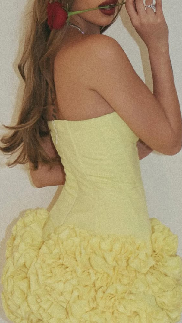 AIIZIE AMY FLOWER EMBELLISHED MINI SKIRT CORSET SET IN YELLOW - product image