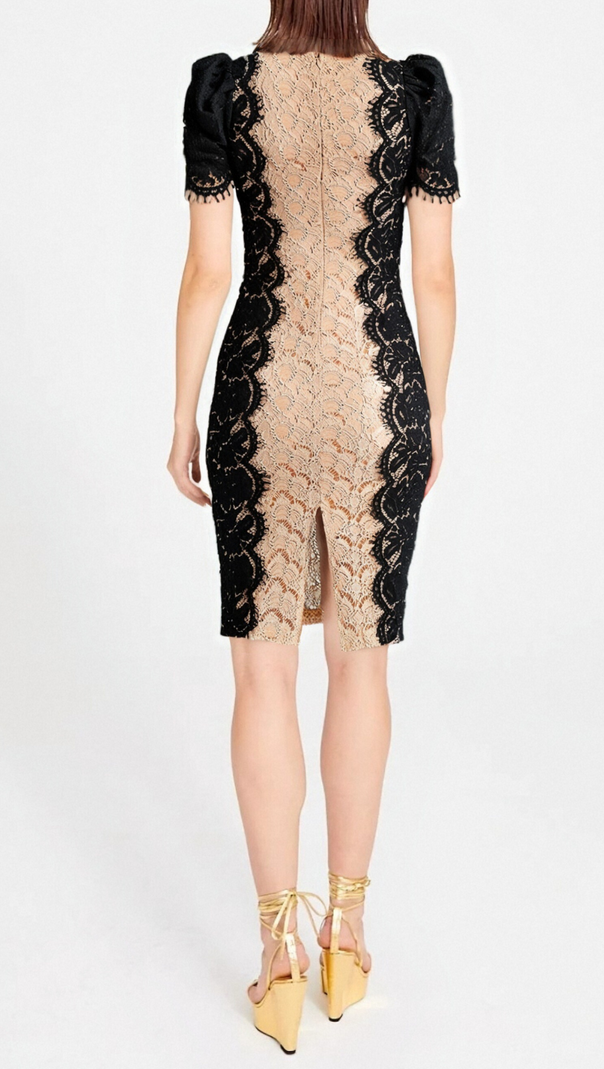 AIIZIE MIXED COLORS LACE FITTED MINI DRESS - product image