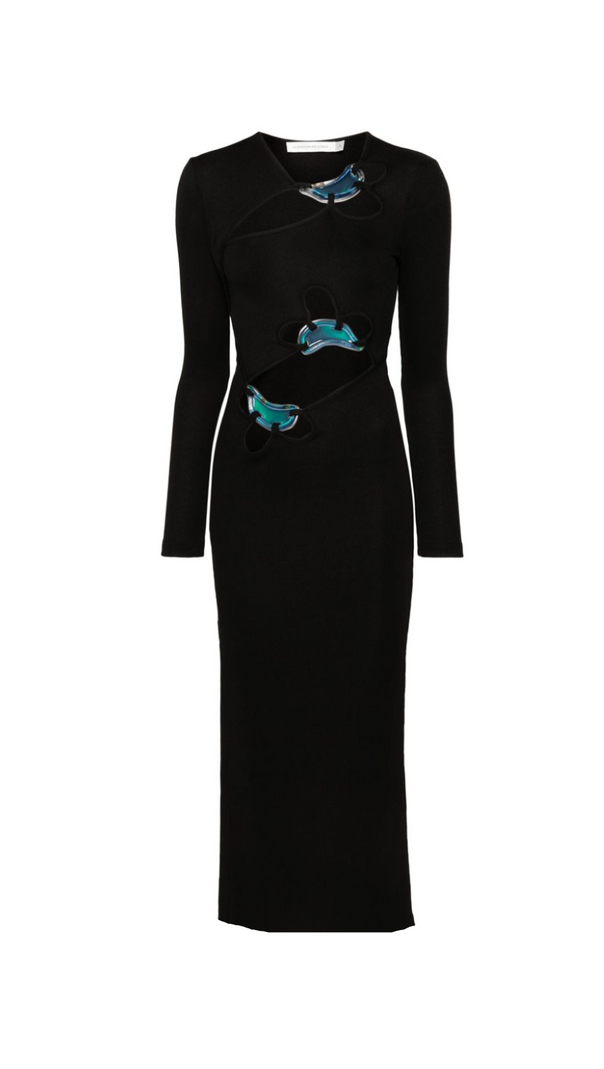AIIZIE SALLY BLACK LONG SLEEVE CUT-OUT RIBBED MAXI DRESS - product image
