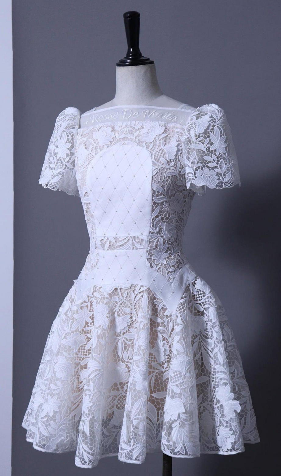 rose sleeve lace hollow mini dress in white