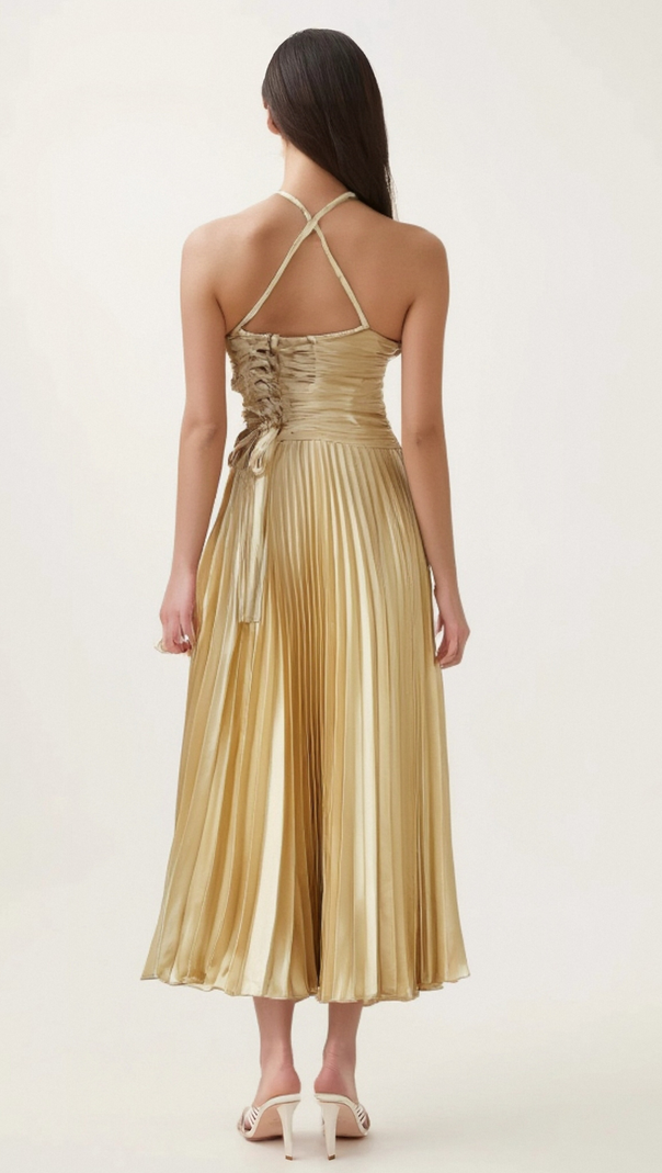 AIIZIE ELINE PLEATED MAXI DRESS - product image