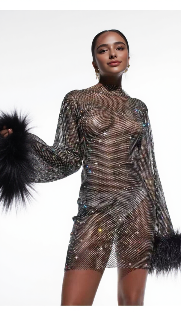 FEATHER EMBELLISHED MESH MINI DRESS