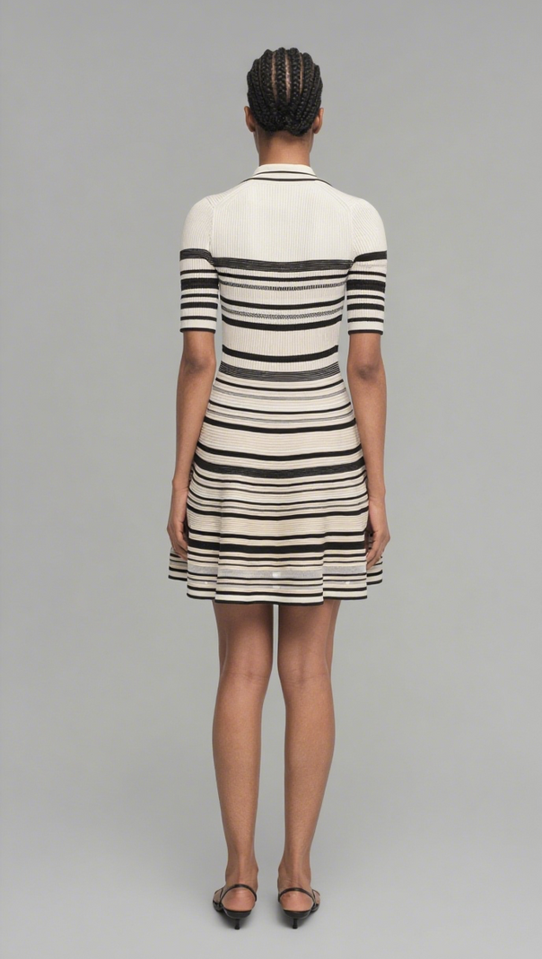 AIIZIE DESSIE STRIPED KNITTED MINI DRESS IN BLACK STRIPE - product image