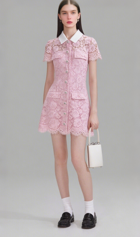 Pink Lace Collared Mini Dress