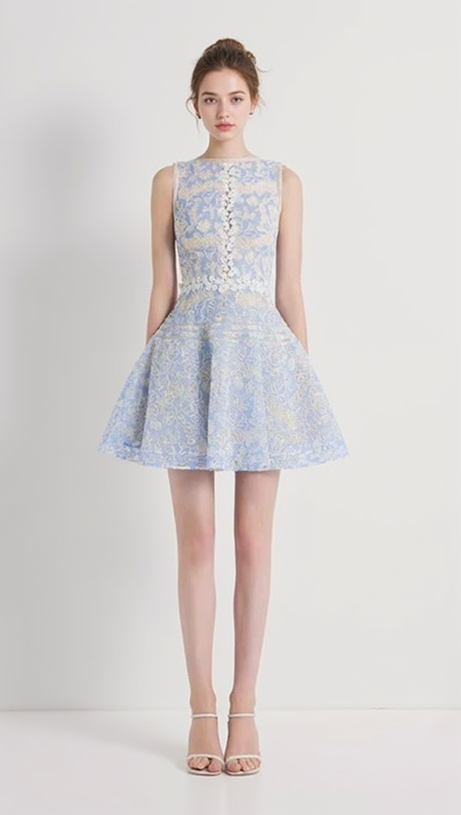 LAIKA BLUE LACE MINI DRESS