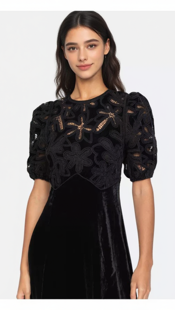 AIIZIE VELVET PUFF SLEEVE EMBROIDERED MIDI DRESS IN BLACK - product image