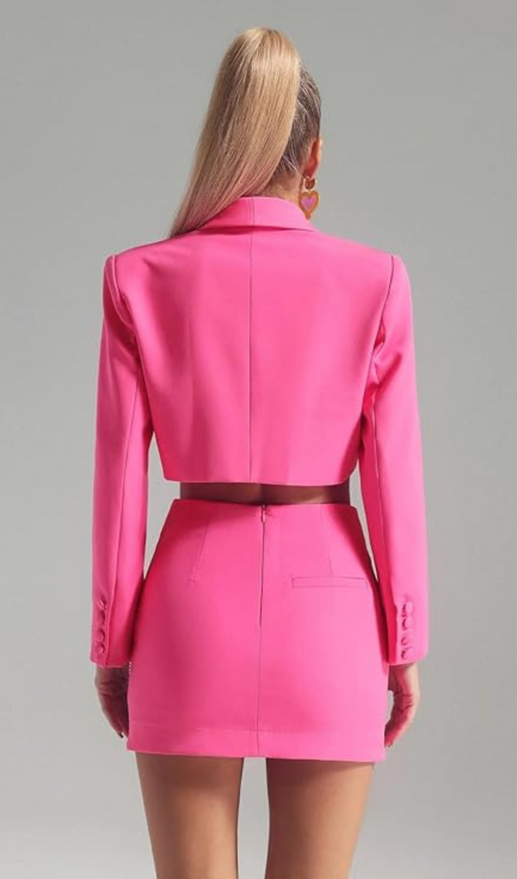 MERRICK BUTTERFLY CRYSTAL EMBELLISHED SKIRT IN PINK