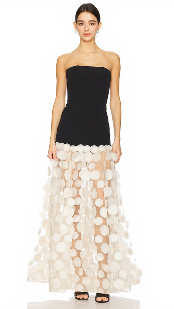 AIIZIE NODIN STRAPLESS DOT MESH MAXI DRESS - product image