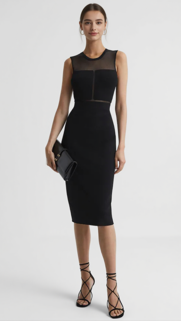 AIIZIE LUCIA ILLUSION MESH SHEATH DRESS - product image