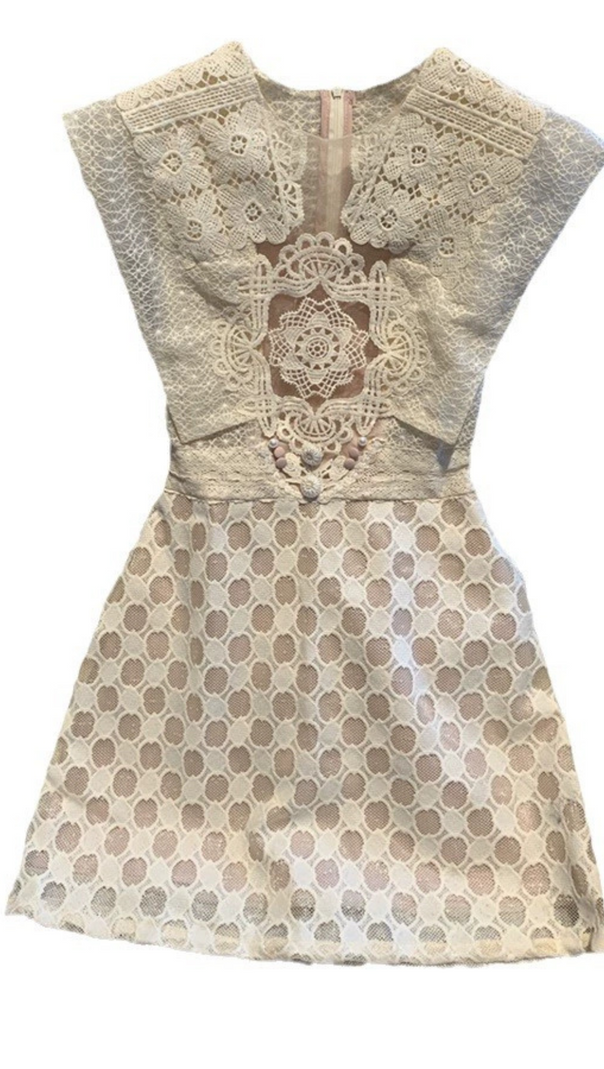 AIIZIE EMBROIDERY CUTOUT MINI DRESS IN APRICOT - product image