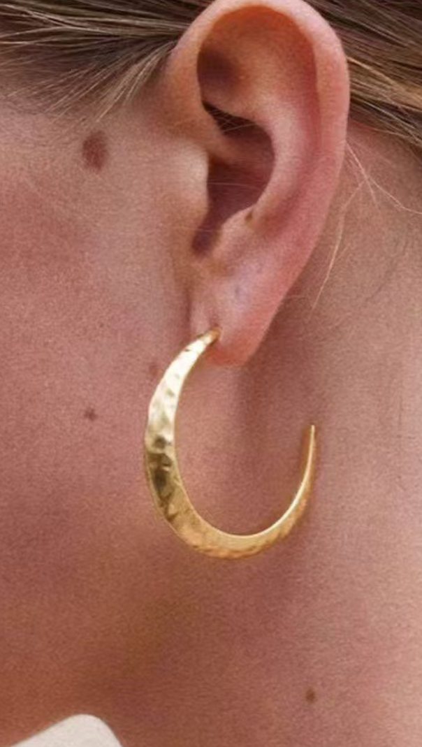 AIIZIE NEEDLE EARRINGS IN GOLD - product image