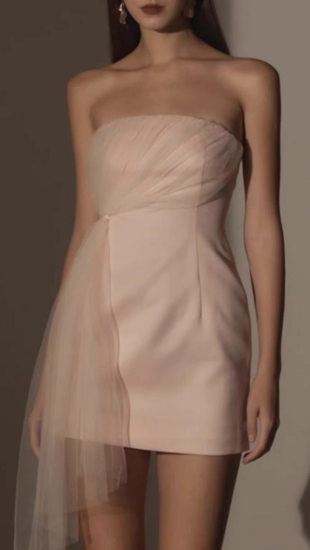 AIIZIE STRAPLESS MESH MINI DRESS - product image