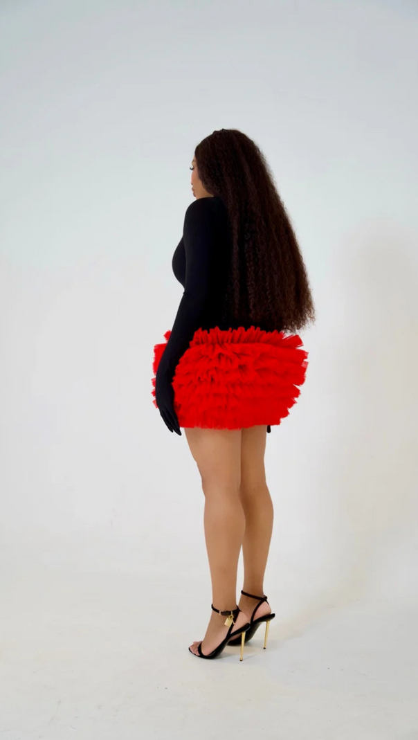 AIIZIE COLORBLOCK LONG SLEEVE LACE MINI DRESS - product image