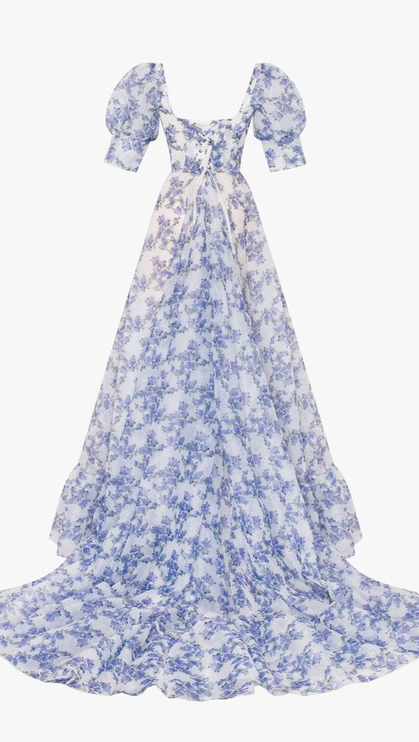 AIIZIE BLUE HYDRANGEA MAXI PRINCESS DRESS - product image