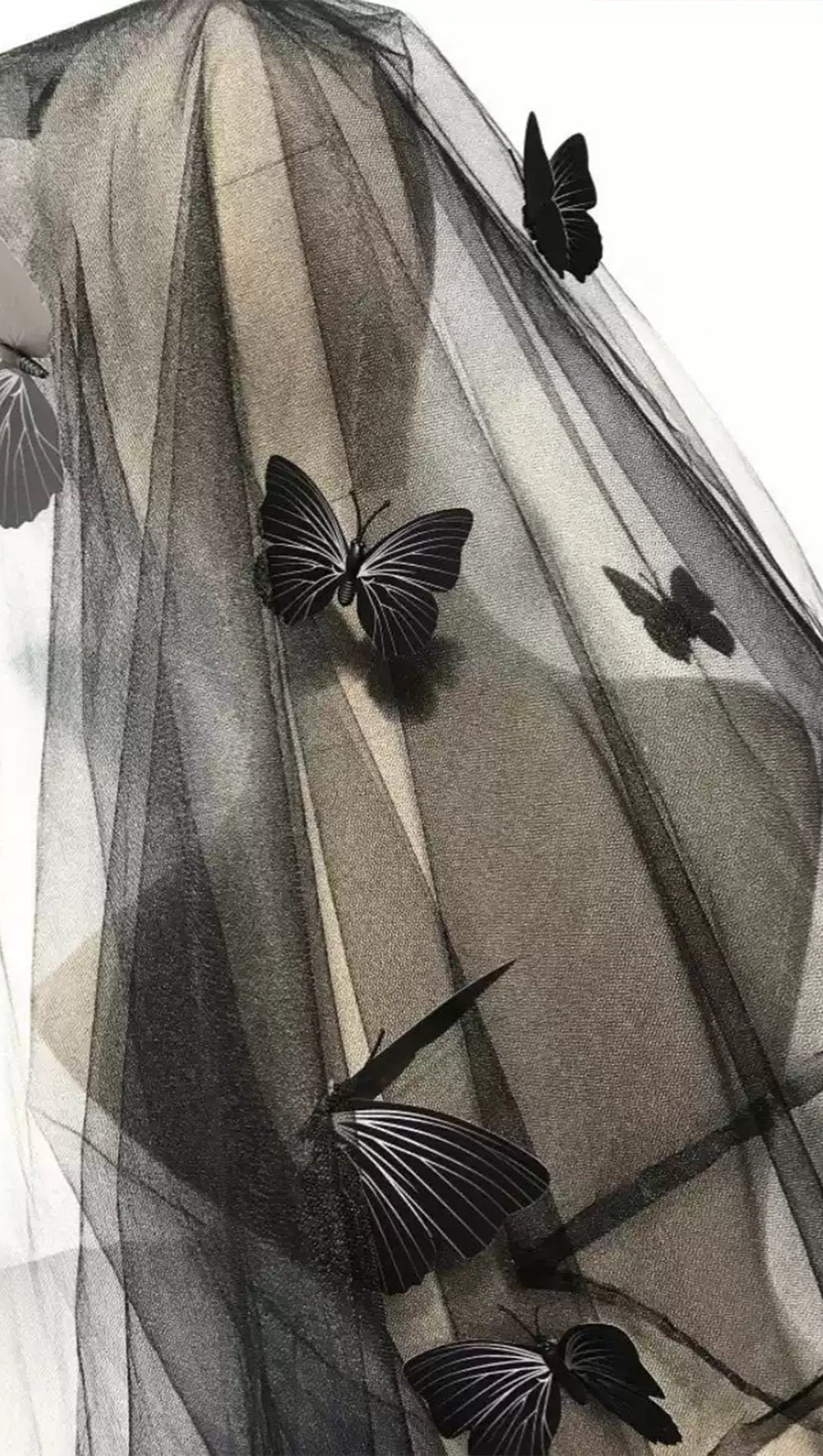 AIIZIE SADA BUTTERFLY VEIL - product image
