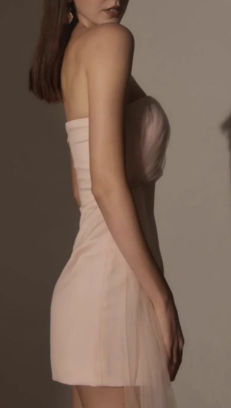 STRAPLESS MESH MINI DRESS