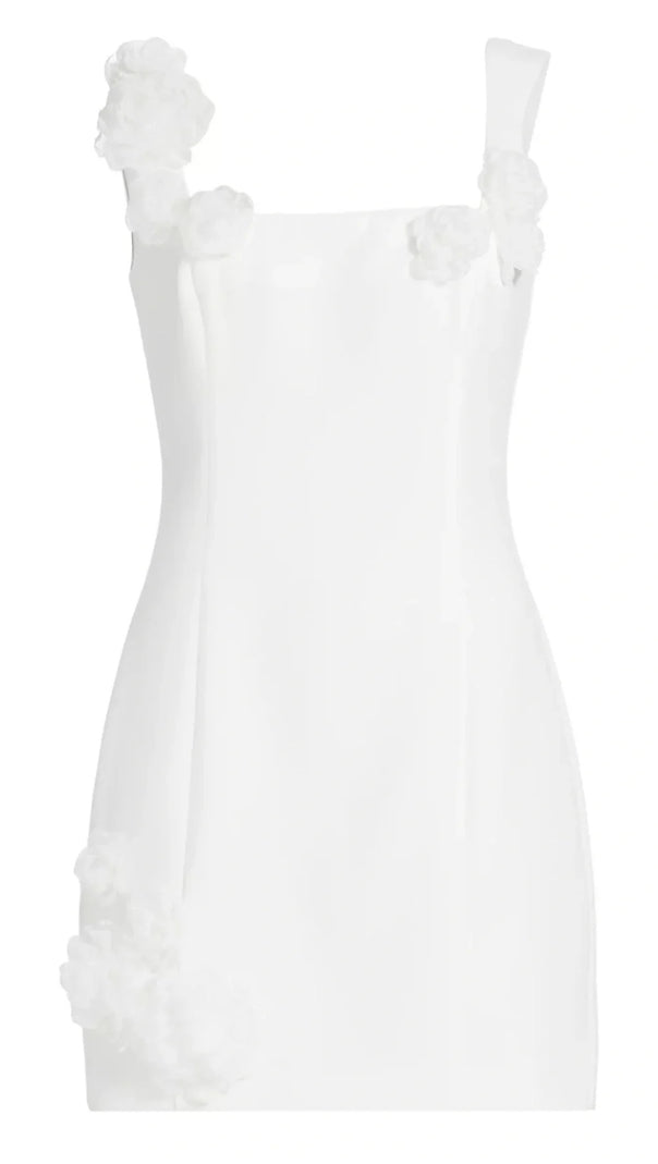 AIIZIE DILANNE FLORAL APPLIQUE MINI DRESS IN WHITE - product image