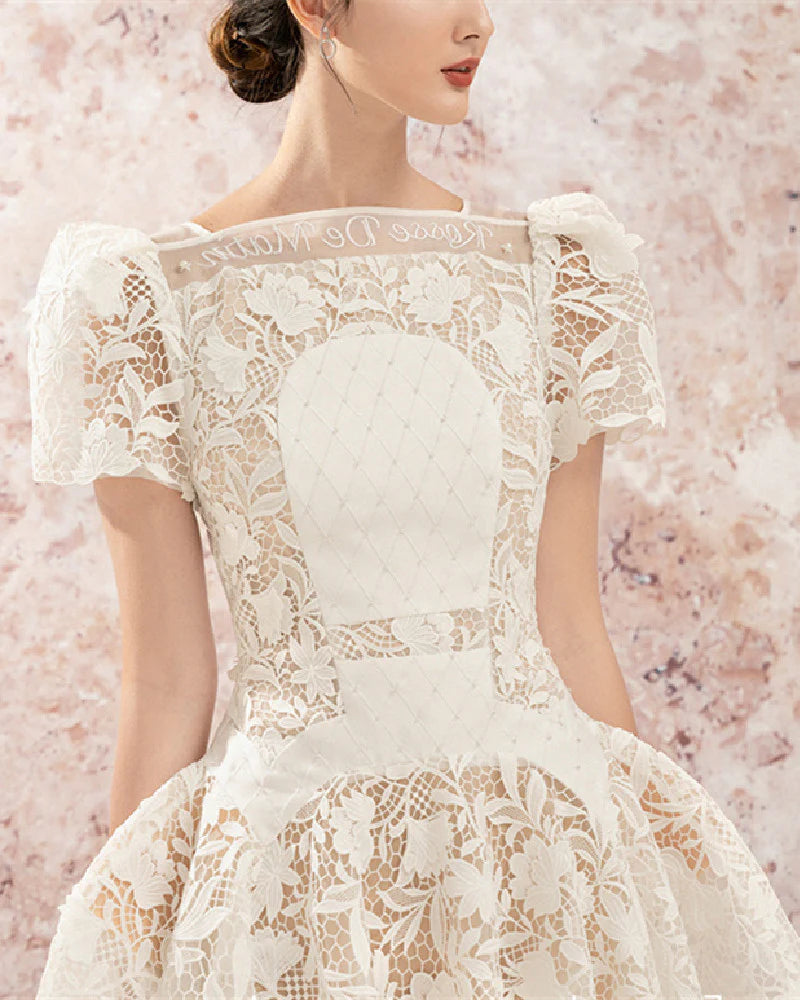 ROSE SLEEVE LACE HOLLOW MINI DRESS IN WHITE