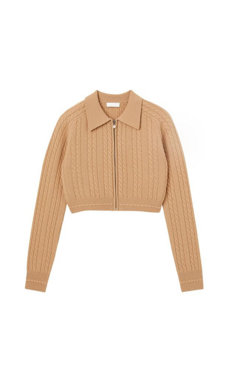 MAGLIONE CHERYL 