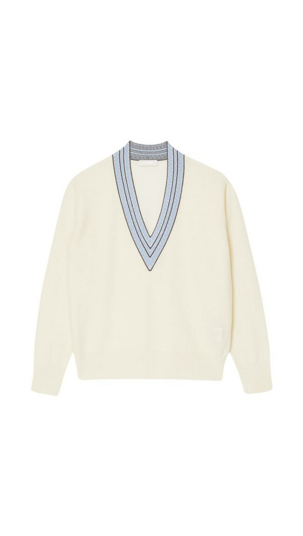 AIIZIE ADIEL V NECK SWEATER - product image