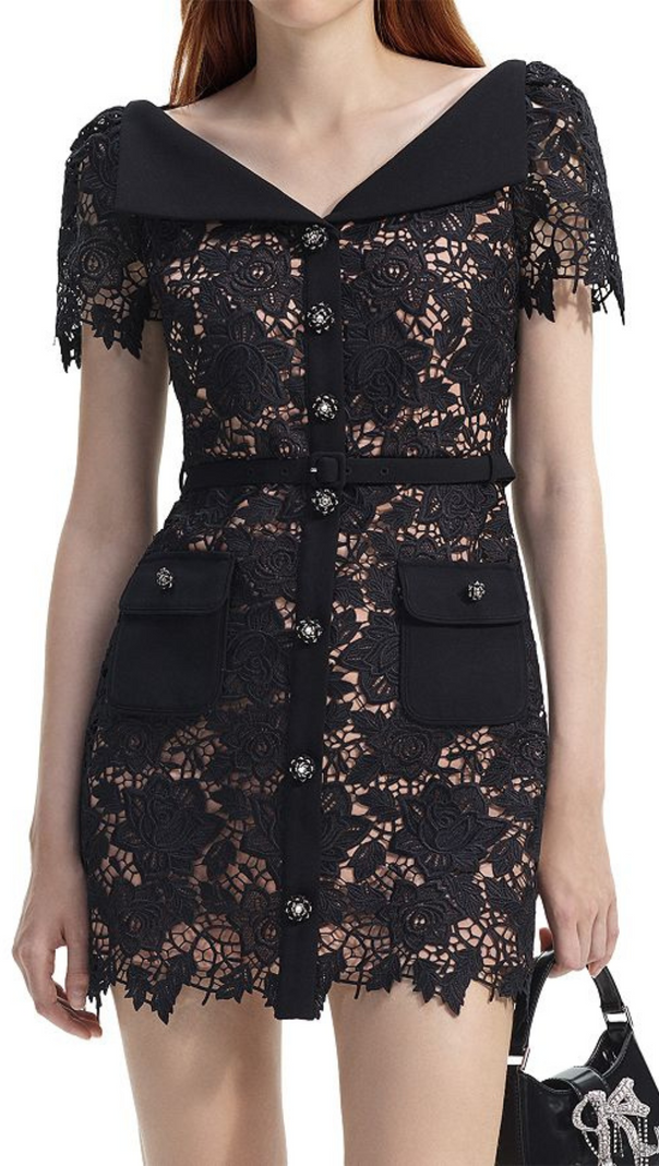 AIIZIE BLACK LACE MINI DRESS - product image