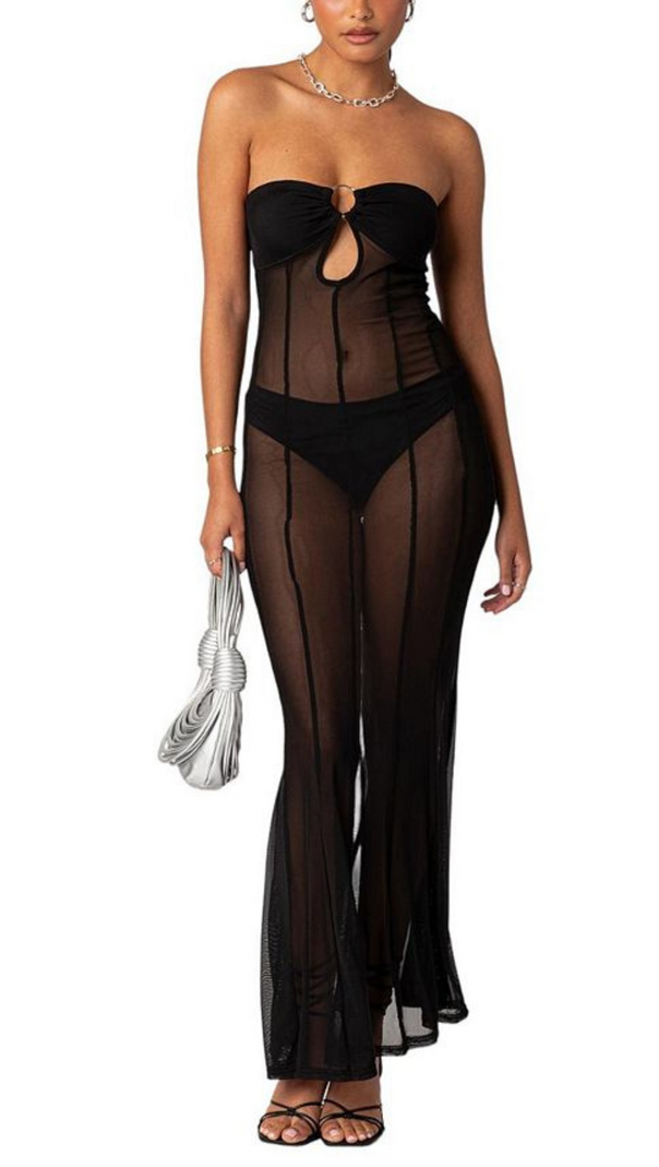 AIIZIE MAISY SHEER MESH MAXI DRESS - product image