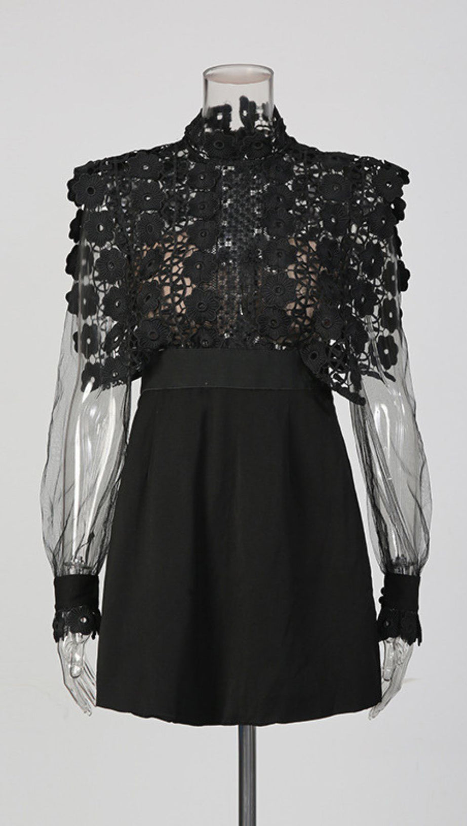 Jorden Black Lace Mock Neck Mini Dress with Sheer Sleeves AIIZIE Jorden Black Lace Mock Neck Mini Dress with Sheer Sleeves AIIZIE