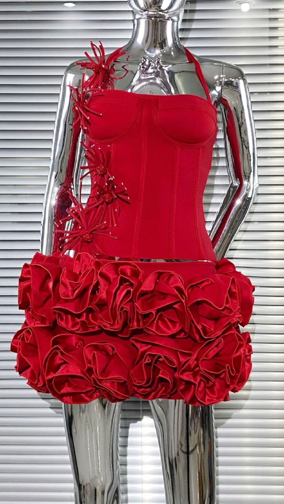 Joslyn Fiery Red Rose & Bandage Corset Two-Piece Set