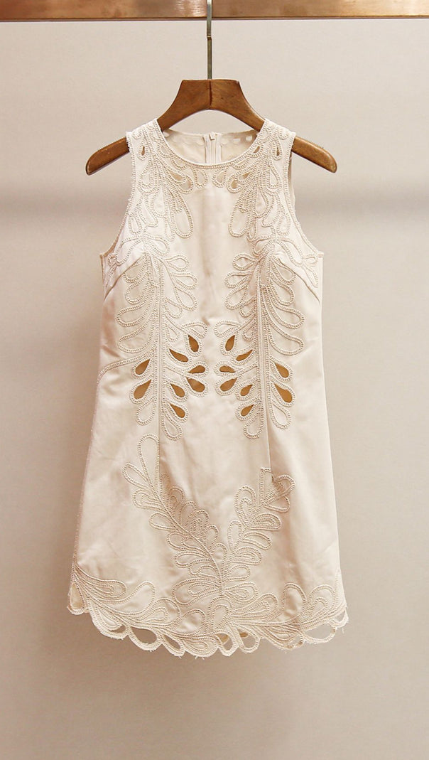 AIIZIE RANETTY CHIC EMBROIDERED & EYELET SLEEVELESS MINI DRESS - product image