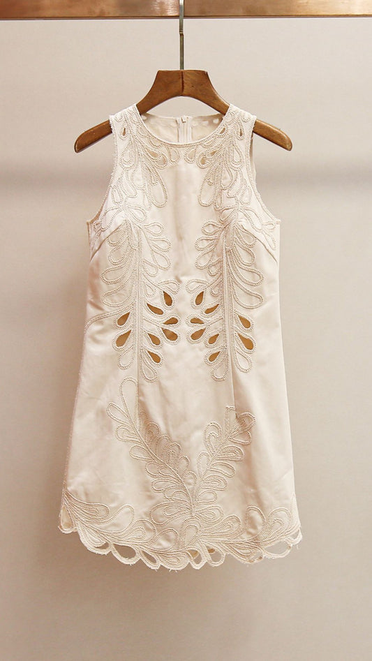 AIIZIE RANETTY CHIC EMBROIDERED & EYELET SLEEVELESS MINI DRESS - product image