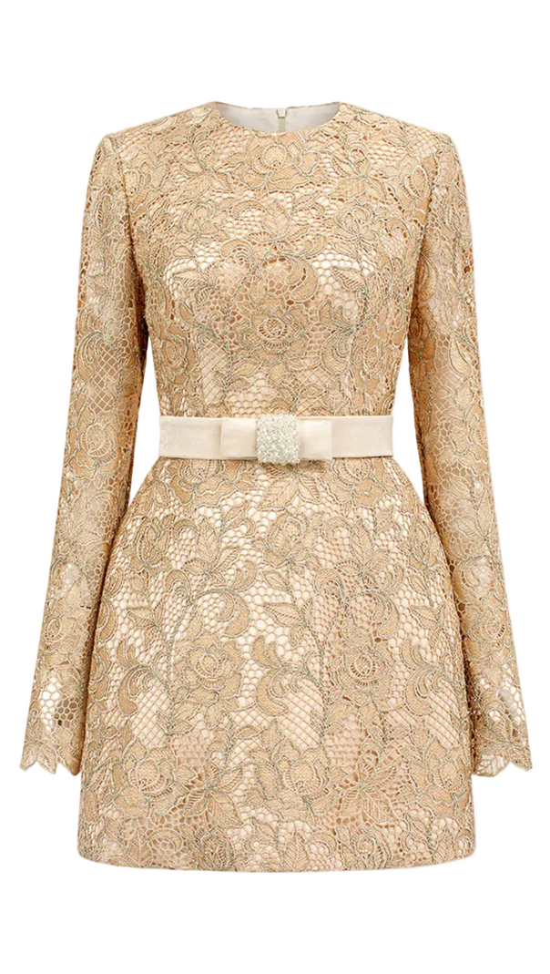 AIIZIE Anslie Lace Belted Mini Dress - product image