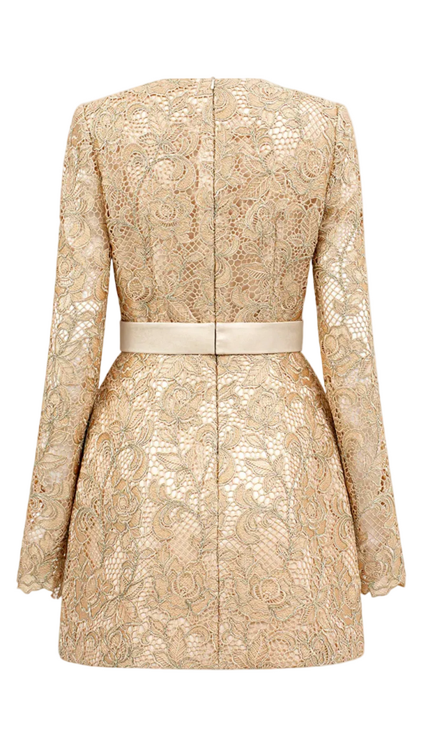 AIIZIE Anslie Lace Belted Mini Dress - product image