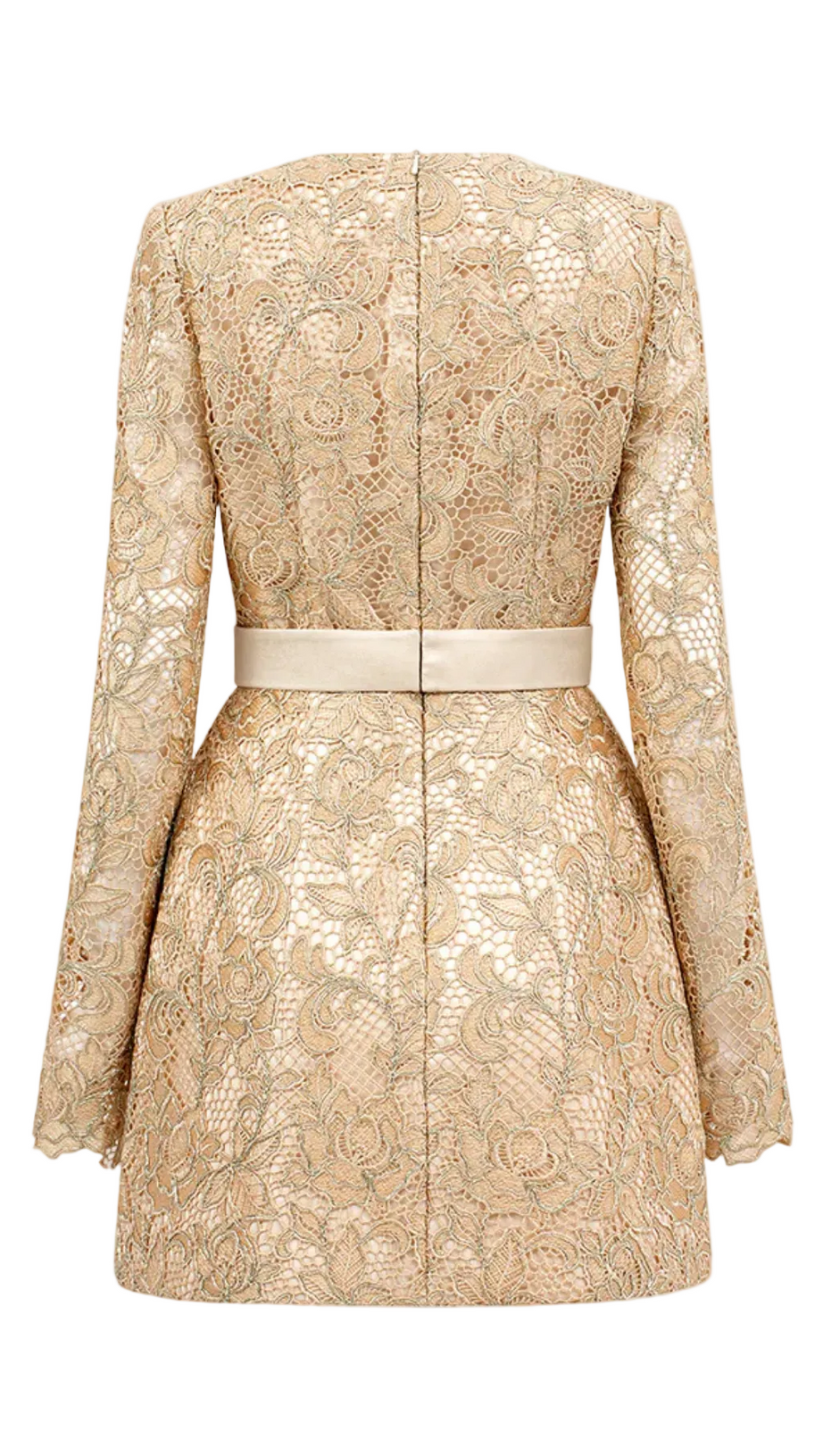 Anslie Lace Belted Mini Dress