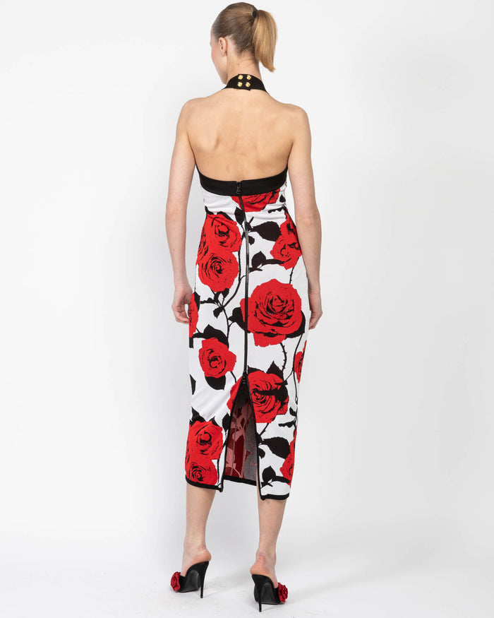 AIIZIE MULTICOLOR HALTERNECK ROSE PRINT MIDI DRESS - product image