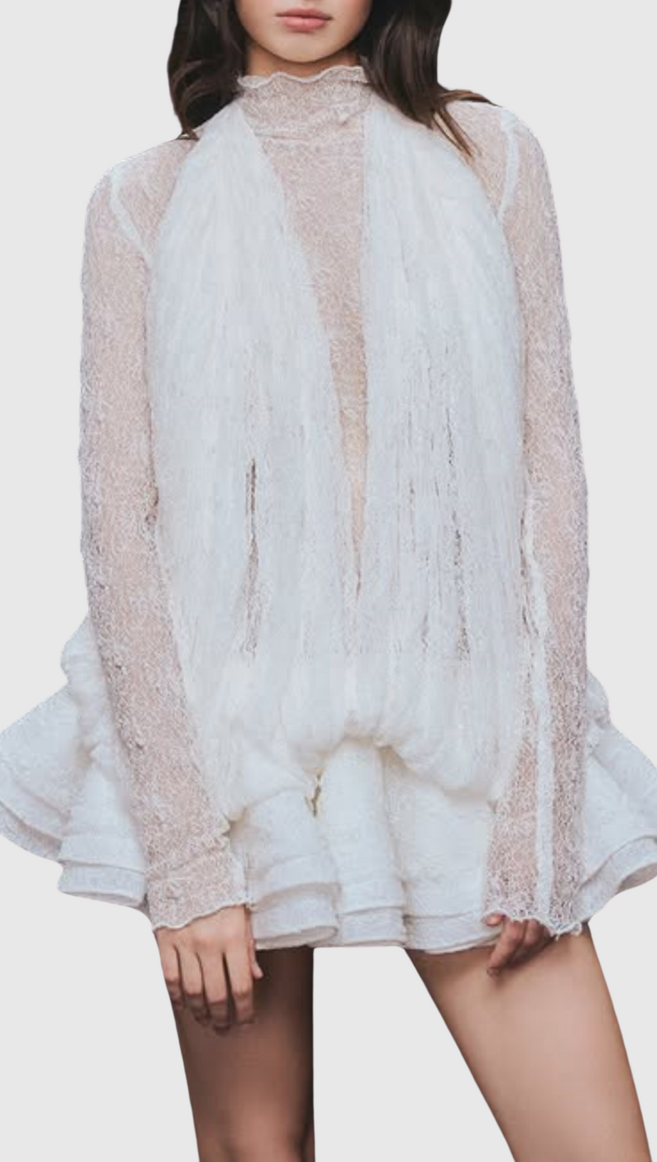 CHAYLEE SEMI-SHEER LACE RUFFLE MINI DRESS