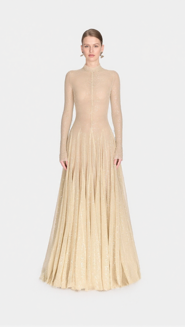 AIIZIE ANILA BEIGE MESH LONG SLEEVE SLIM MAXI DRESS - product image