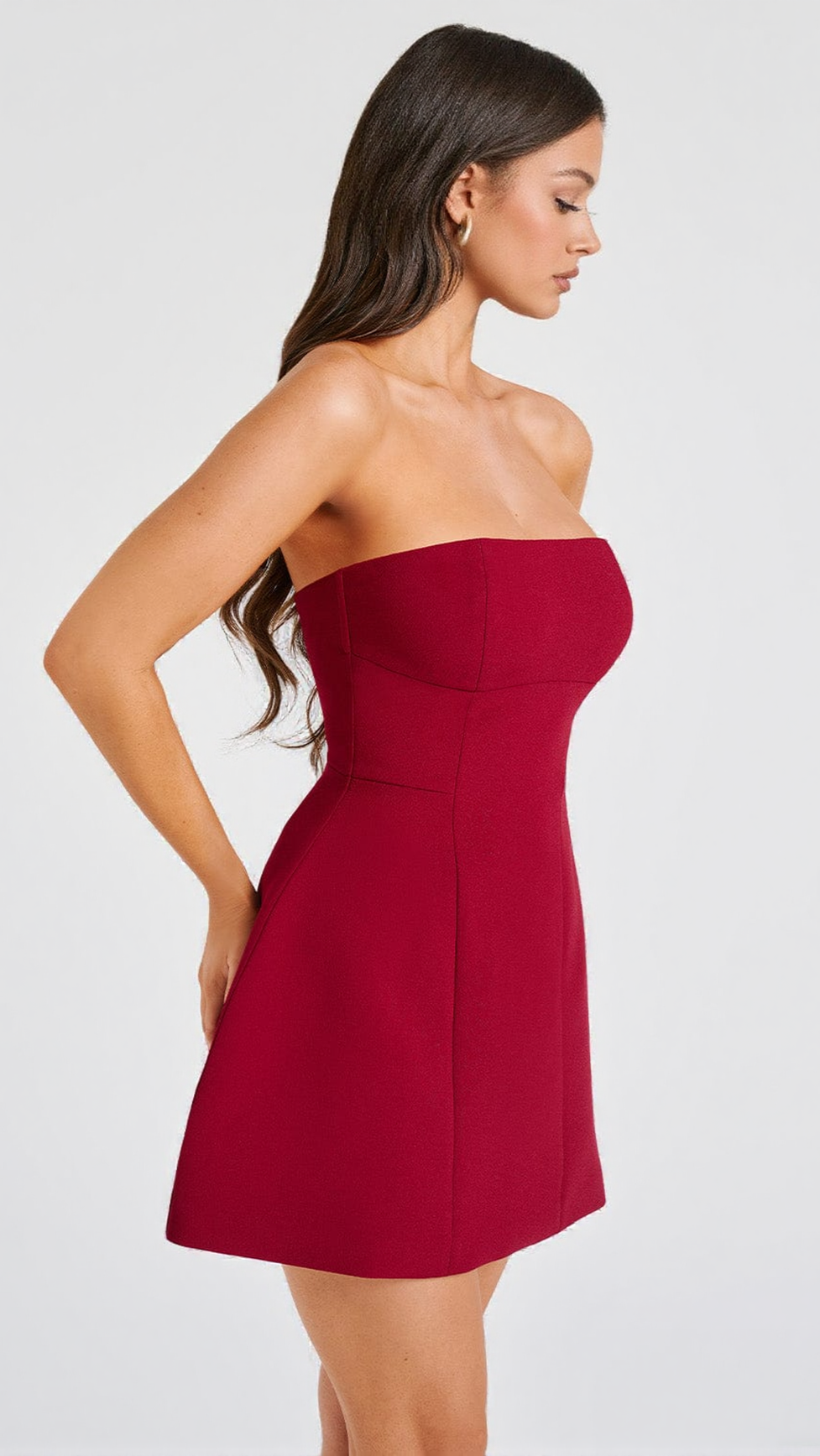AIIZIE ASHA MINI DRESS - WINE - product image