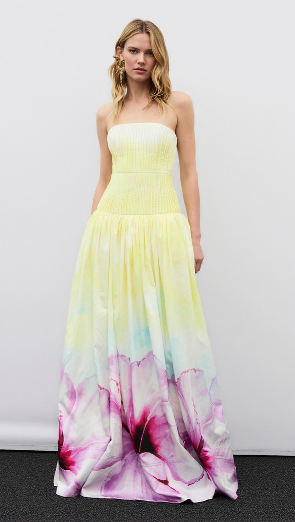 AIIZIE LAUREL PRINTED TUBE TOP MAXI DRESS IN GRADIENT YELLOW - product image