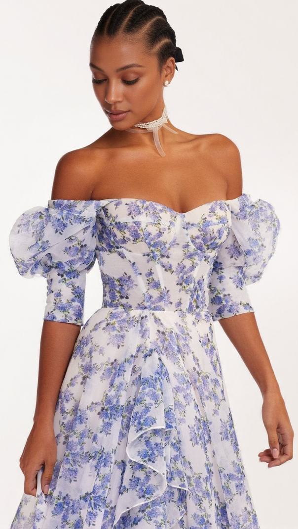 AIIZIE BLUE HYDRANGEA MAXI PRINCESS DRESS - product image
