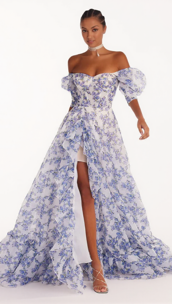 AIIZIE BLUE HYDRANGEA MAXI PRINCESS DRESS - product image