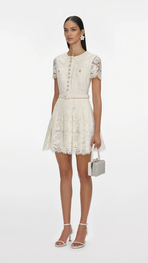 AIIZIE QUINTINA CREAM FLORAL LACE MINI DRESS - product image