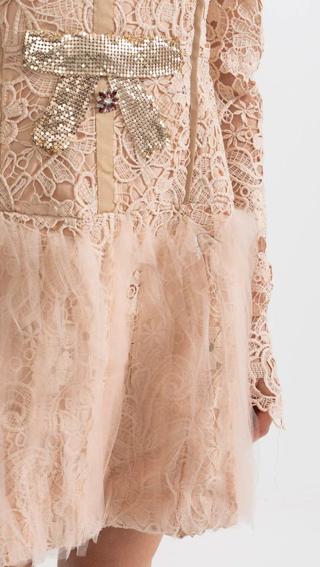 LACE EMBROIDERY MINI DRESS