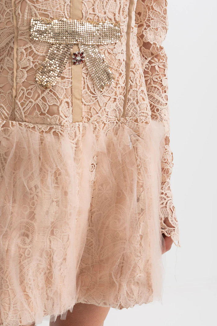 AIIZIE LACE EMBROIDERY MINI DRESS - product image