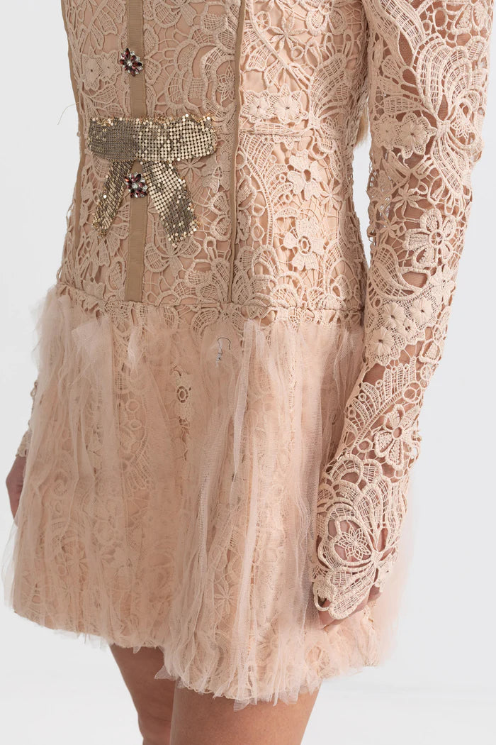 AIIZIE LACE EMBROIDERY MINI DRESS - product image