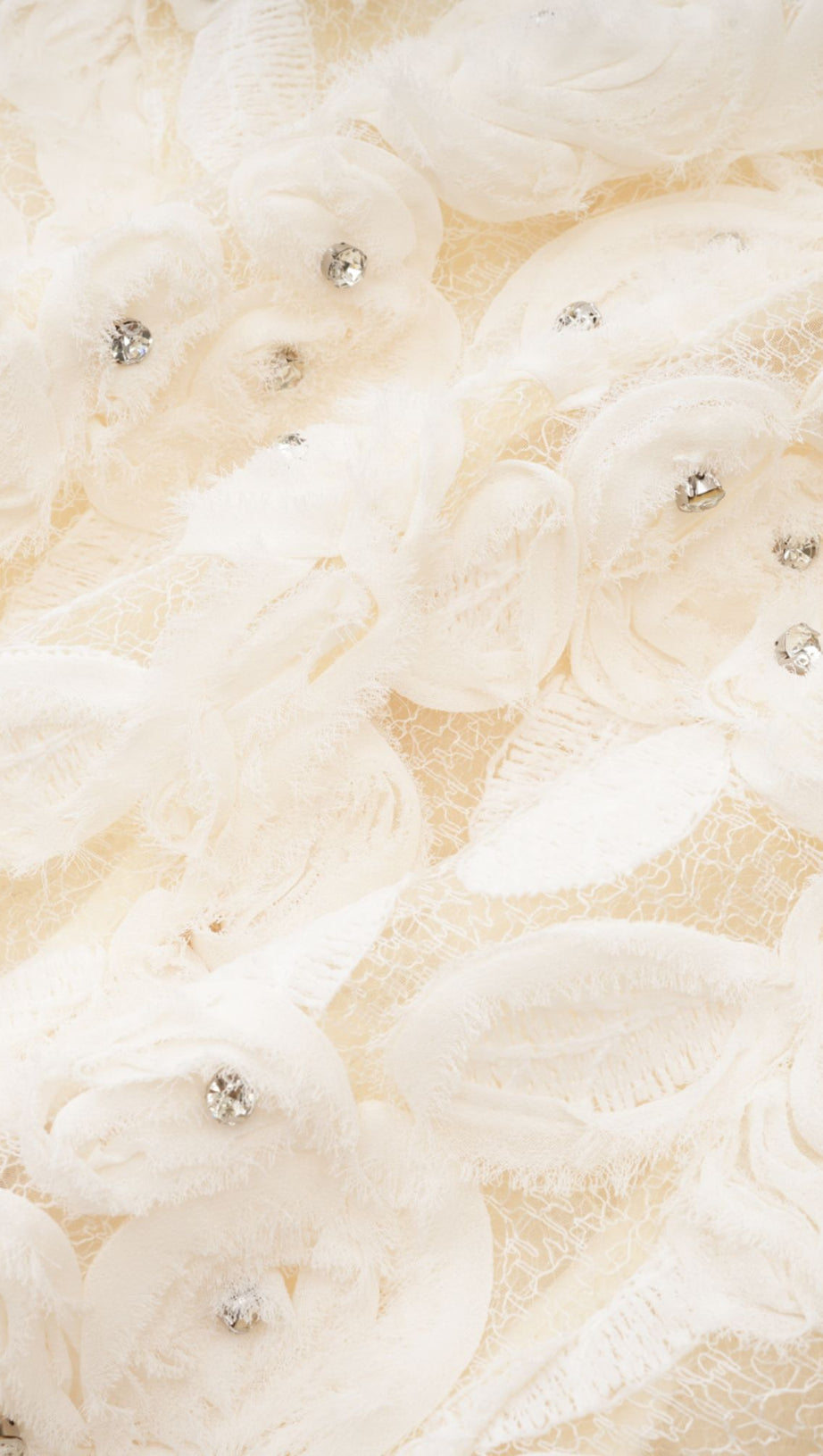 MARIANNE FLORAL-APPLIQUÉ EMBELLISHED JACKET