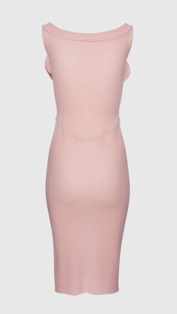 AIIZIE DINELLA FLORAL APPLIQUÉ CORSET MIDI DRESS IN PINK - product image