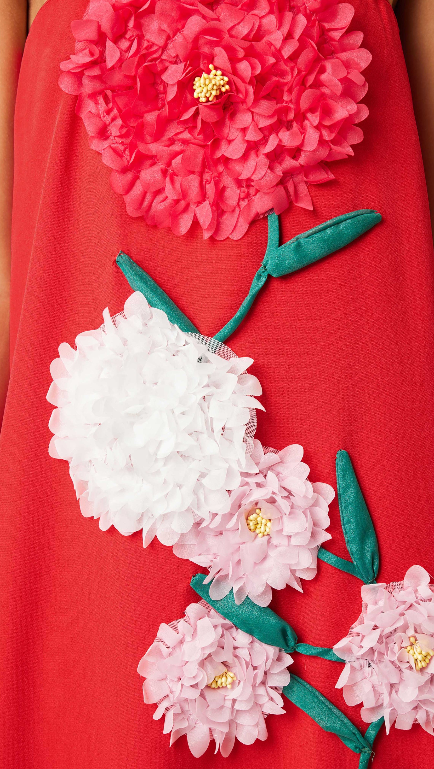 AIIZIE JUDY BUTTERCUP EMBROIDERED MAXI DRESS IN RED - product image