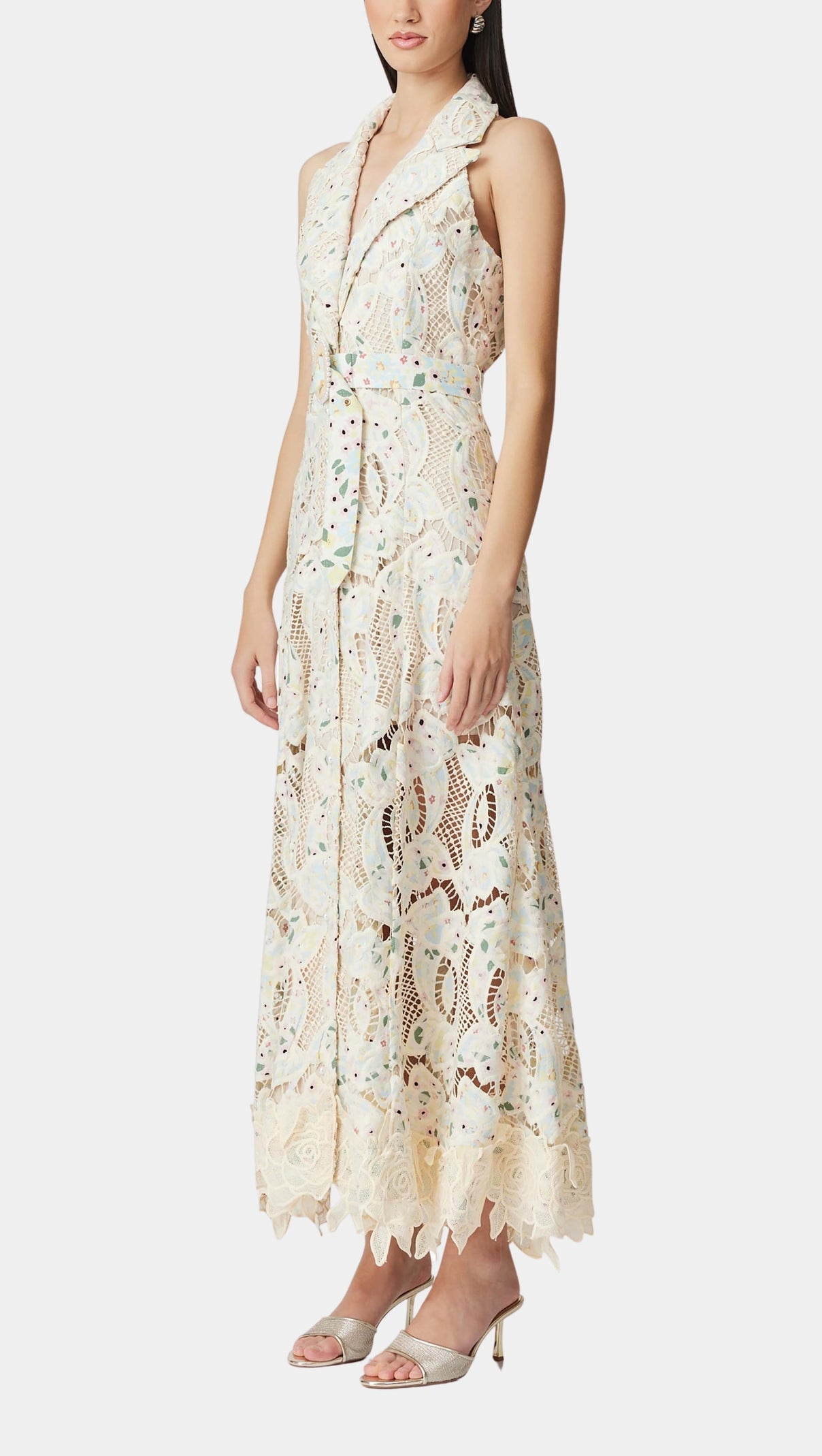 AIIZIE CHLOE SLEEVELESS HOLLOW LACE MAXI DRESS IN BEIGE - product image
