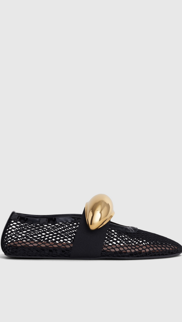 AIIZIE EMERSON HARDWARE BUCKLE FISHNET BALLET FLATS - product image