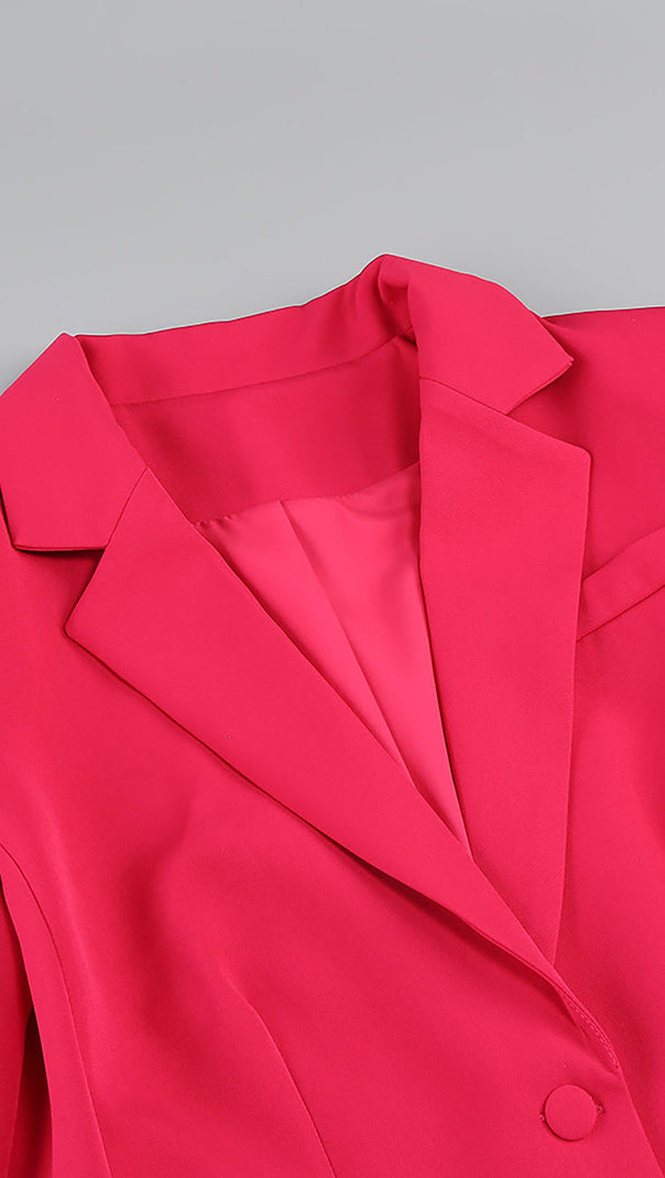 AIIZIE IRMA FEATHER TRIM BLAZER SUITS IN ROSE RED - product image